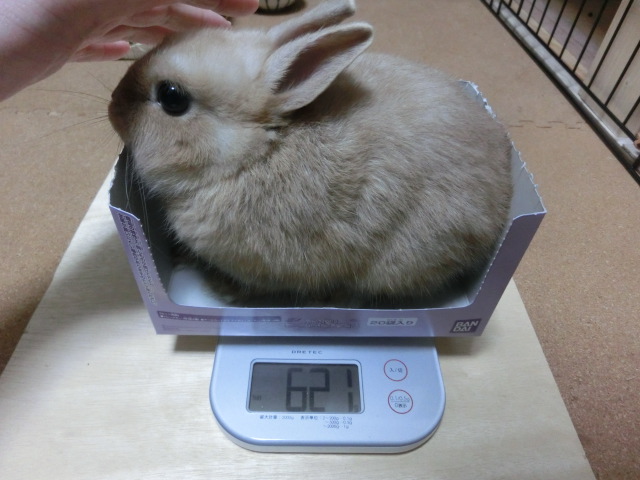 140130.jpg