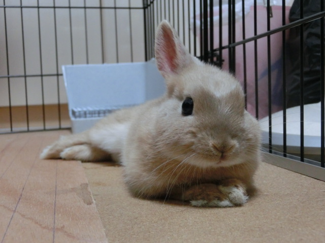 140131-13.jpg