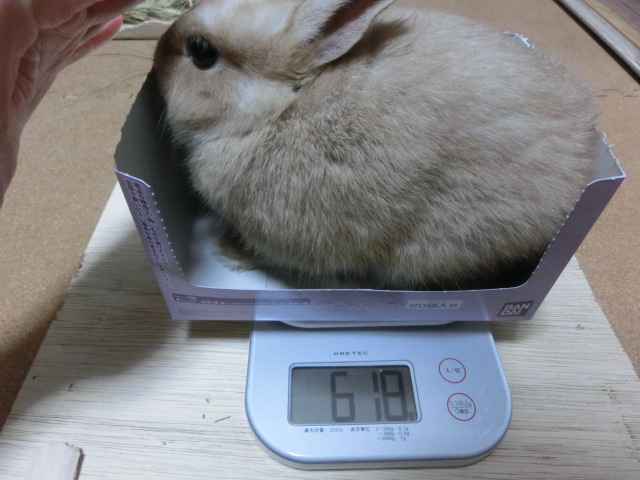 140131.jpg