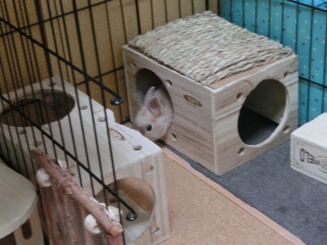 140201-02.jpg