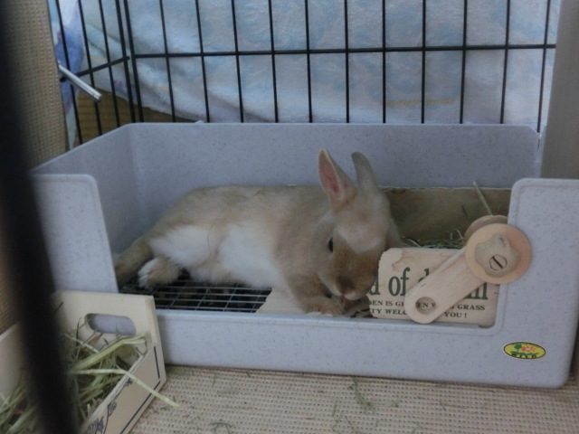 140201-11.jpg