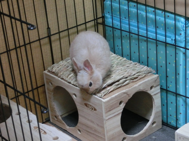 140202-11.jpg