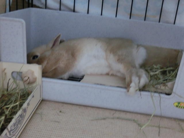 140202-12.jpg