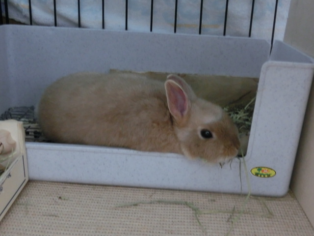 140203-09.jpg