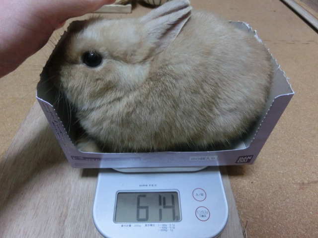 140203.jpg