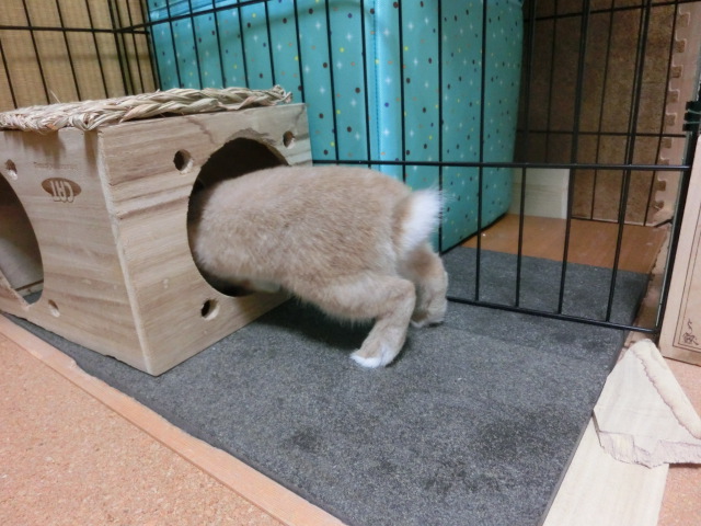 140204-11.jpg