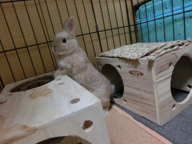 140204-12.jpg