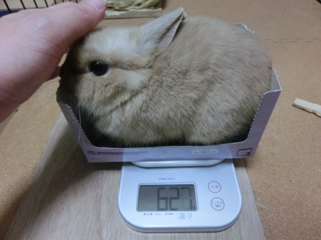 140204.jpg
