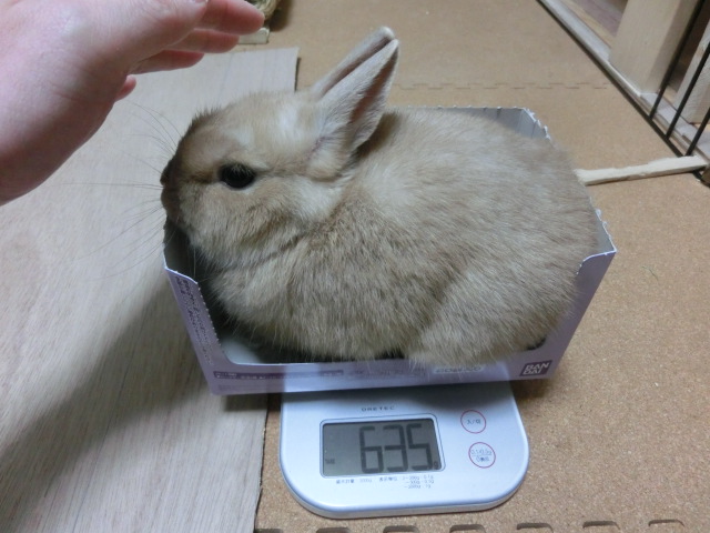 140205.jpg