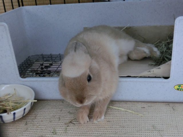 140206-08.jpg