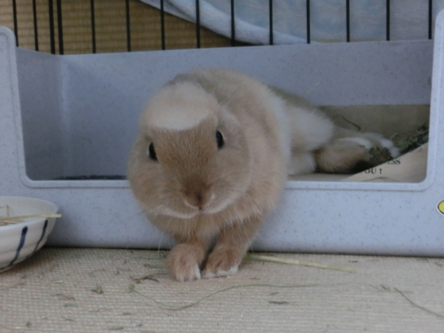 140206-09.jpg
