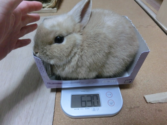140206.jpg