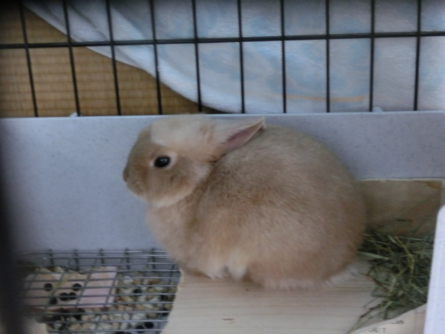 140207-04.jpg