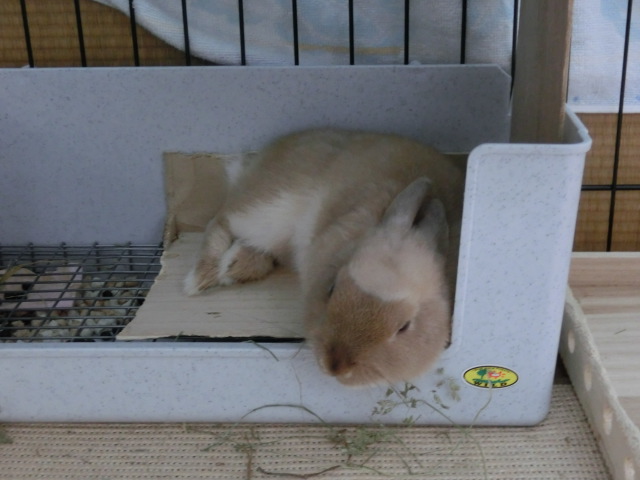 140207-07.jpg