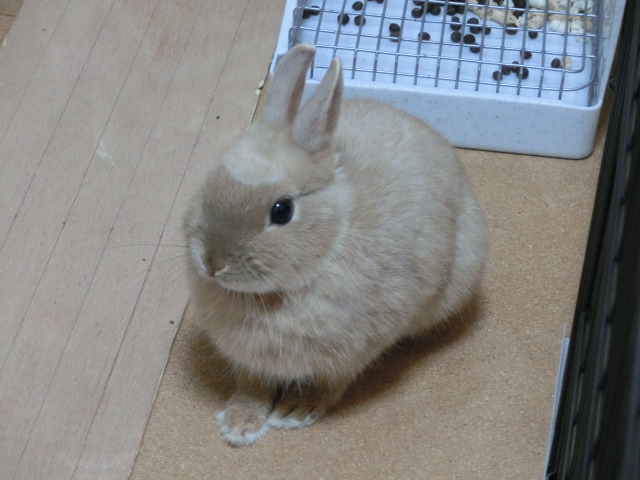 140207-09.jpg