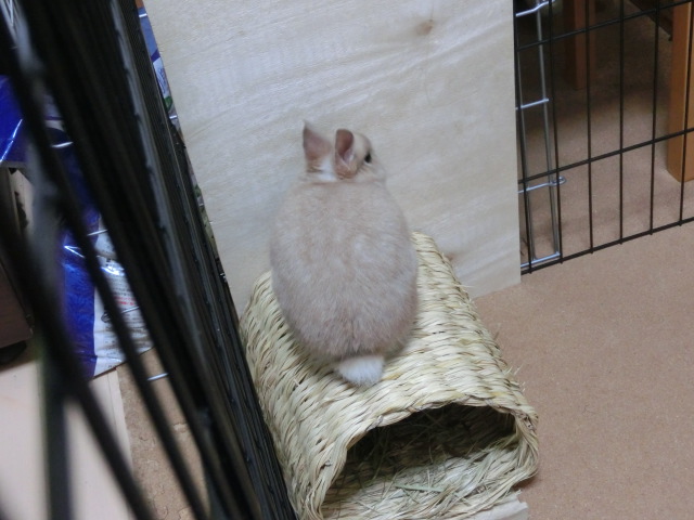 140207-10.jpg