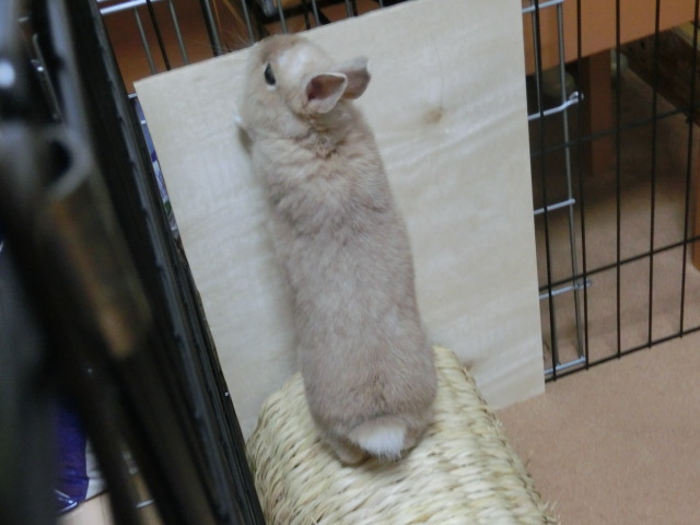 140207-11.jpg