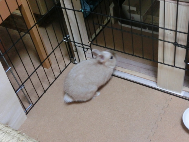 140207-12.jpg