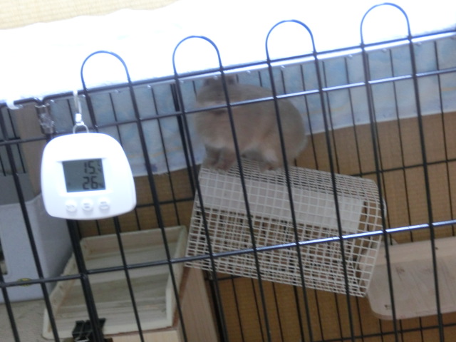 140207-14.jpg