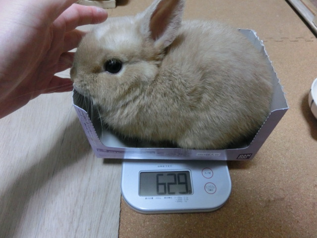 140207.jpg