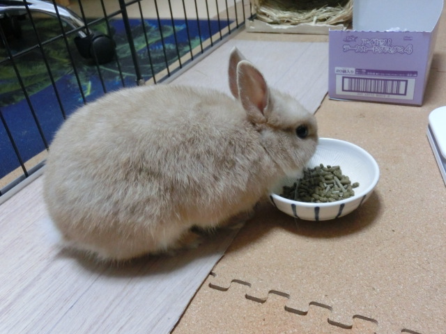 140208-06.jpg