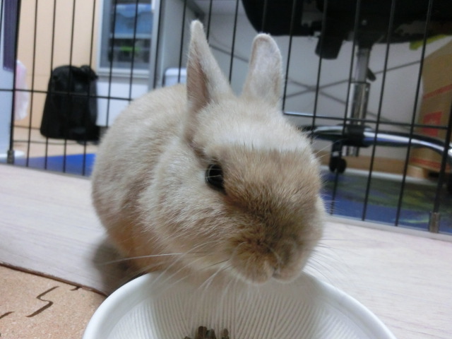 140208-09.jpg