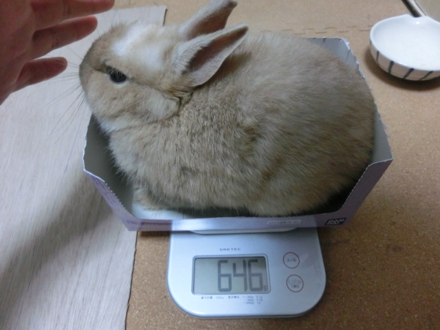 140208.jpg