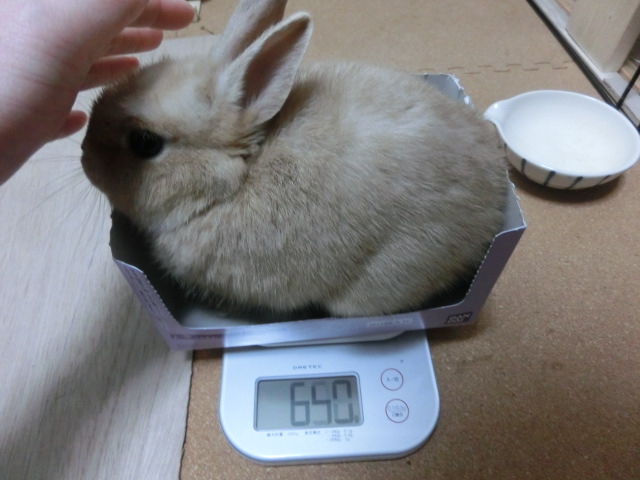 140209.jpg