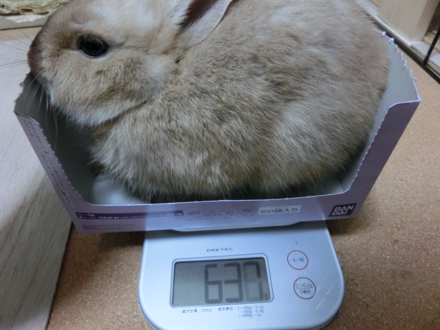 140210.jpg