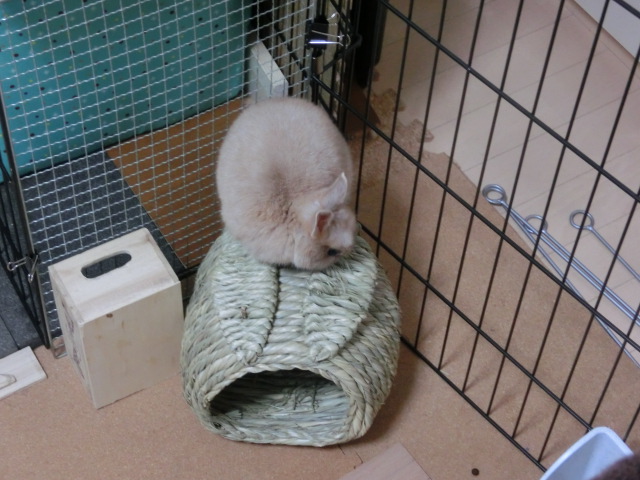 140211-03.jpg