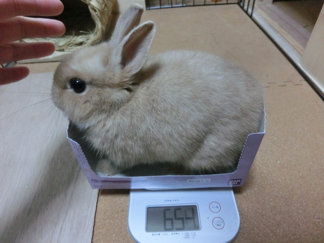 140211.jpg