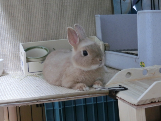 140212-06.jpg
