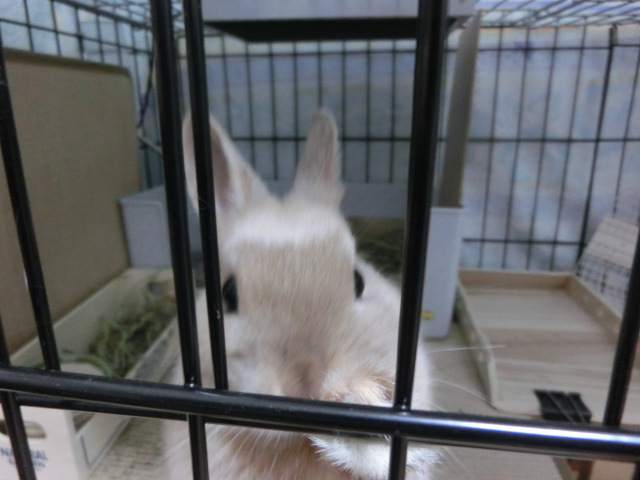 140212-09.jpg