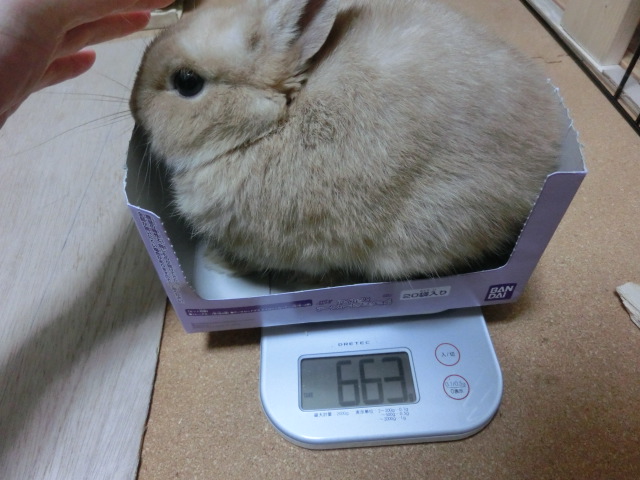140212.jpg