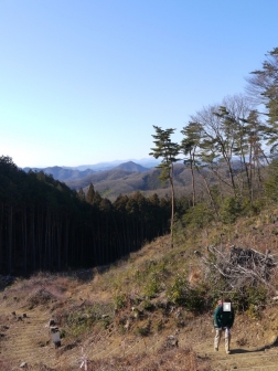 P1300580.jpg