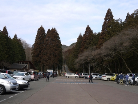 P1300630.jpg