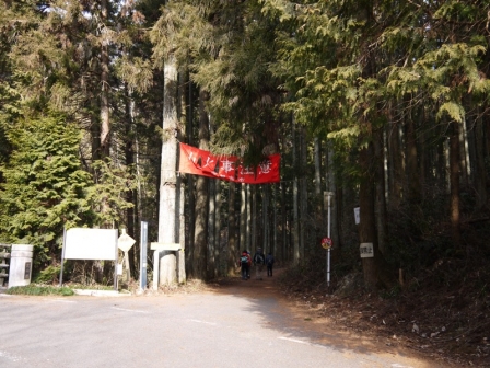 P1300632.jpg