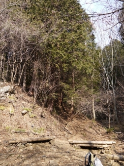 P1300633.jpg