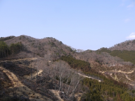 P1300664.jpg