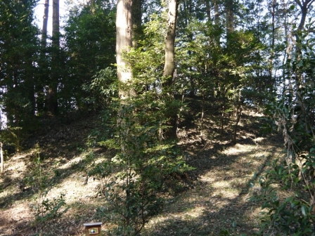 P1300695.jpg