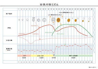 女性の身体リズム