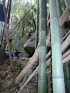 古竹抜け