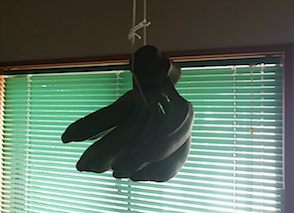 1013~01