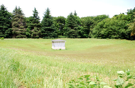 SC_0037.jpg