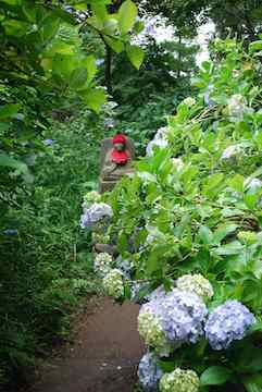 SC_0136.jpg