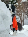 140120_i.jpg