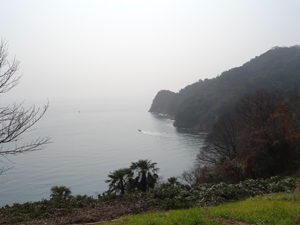 140202_02.jpg