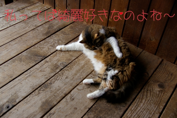 Melia 2012051601