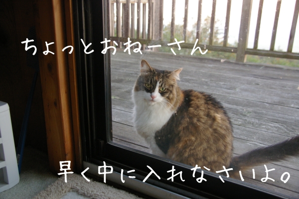 Melia 2012051603