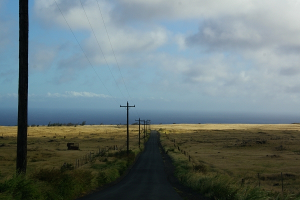 to south point20120529001558